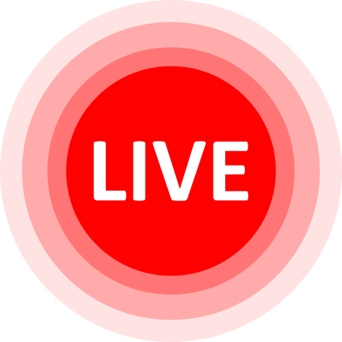 Cam 2 Cam Roulette